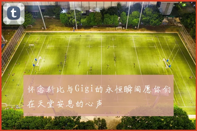 怀念科比与Gigi的永恒瞬间愿你们在天堂安息的心声