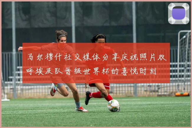 马尔穆什社交媒体分享庆祝照片欢呼埃及队晋级世界杯的喜悦时刻