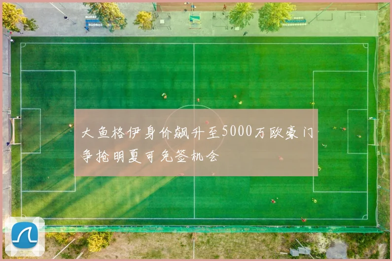大鱼格伊身价飙升至5000万欧豪门争抢明夏可免签机会